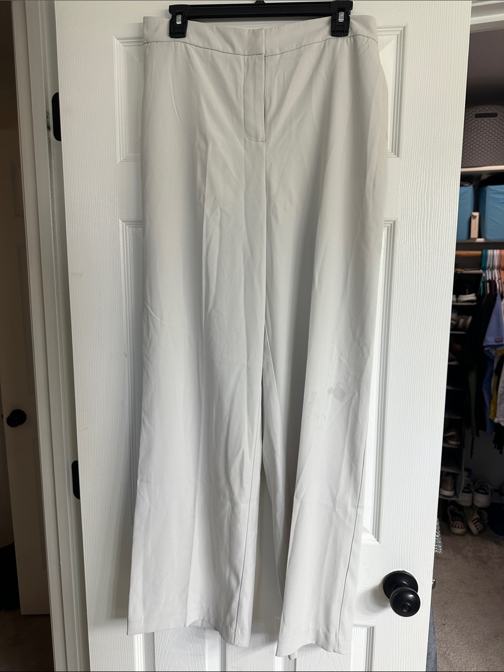 Rachel Zoe Wide-Leg Trousers in Cream Color